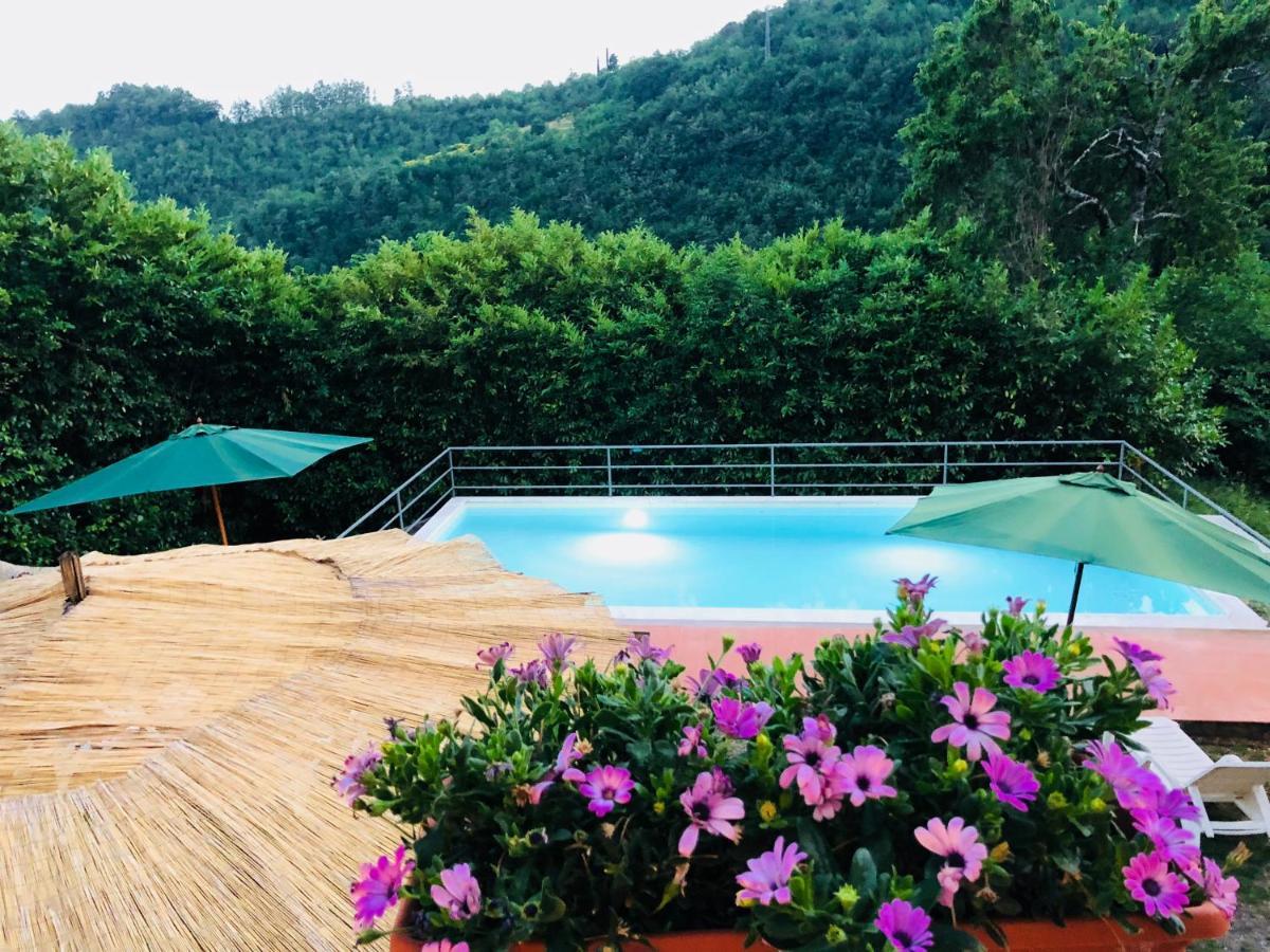 La Vecchia Canonica 피비쟈노 외부 사진
